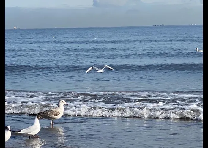 Sopot Oliwia III